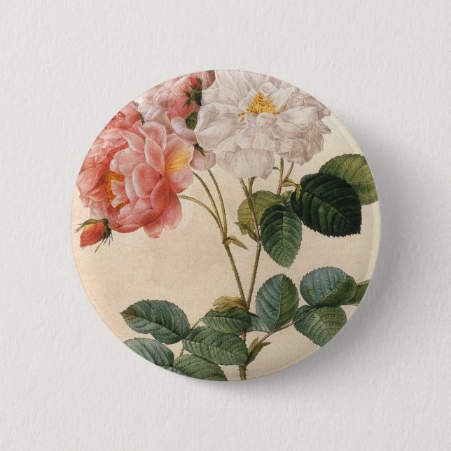 Vintage Art Pink Rose Flower Pinback Button (Vorderseite)