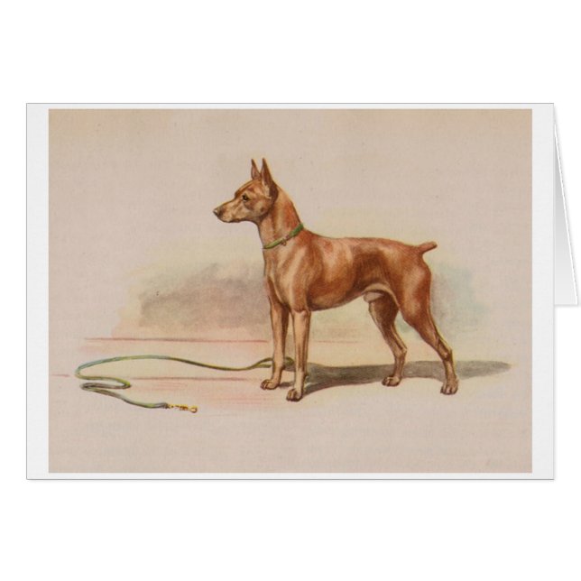 Vintage Artwork - Miniatur Pinscher Hund, (Vorderseite (Horizontal))