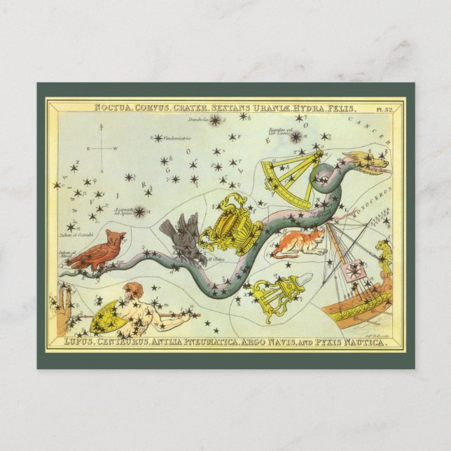 Vintage Astronomie, Hydra-Schlange-Sterne Postkarte (Vorderseite)