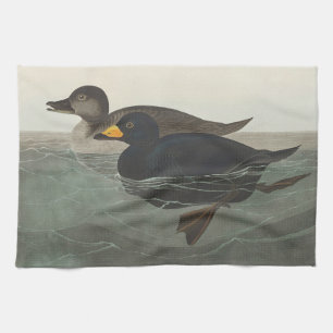 Vintage Audubon-Amerikanische Samtente-Vogelkunst Geschirrtuch
