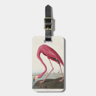 Vintage Audubon Amerikanischer Flamingo Rosa Vogel Gepäckanhänger