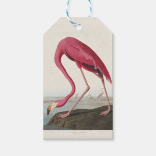 Vintage Audubon Amerikanischer Flamingo Rosa Vogel Geschenkanhänger