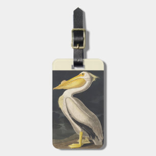 Vintage Audubon Amerikanischer Weißer Pelikan Voge Gepäckanhänger