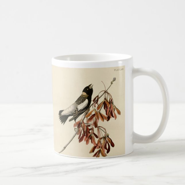 Vintage Audubon Bobolink Peinture Gift Café Mug (Droite)