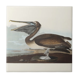 Vintage Audubon Brauner Pelikan Küsten-Vogelkunst Fliese