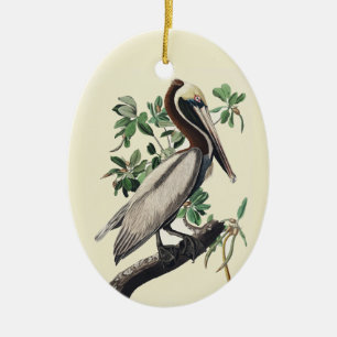 Vintage Audubon Brauner Pelikan Küsten-Vogelkunst Keramik Ornament