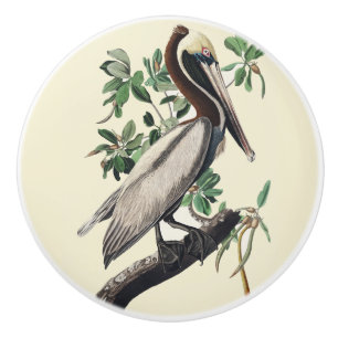 Vintage Audubon Brauner Pelikan Küsten-Vogelkunst Keramikknauf