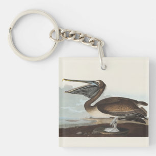 Vintage Audubon Brauner Pelikan Küsten-Vogelkunst Schlüsselanhänger