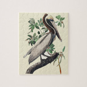 Vintage-Audubon-Braunpelikan-Küstenvogel-Kunst