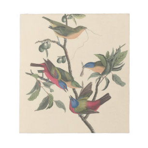 Vintage-Audubon-Buntingschmetterling-farbige Vogel Notizblock