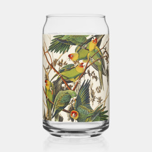 Vintage Audubon Carolina-Sittich-Vogelkunst Dosenglas