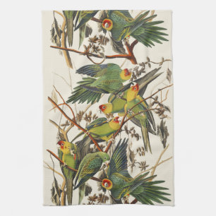 Vintage Audubon Carolina-Sittich-Vogelkunst Geschirrtuch
