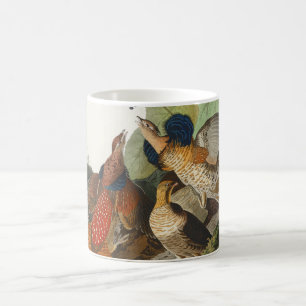 Vintage Audubon Haselhuhn Vogel Natur Kunst Kaffeetasse