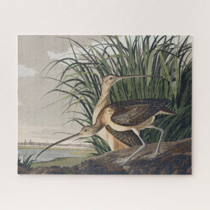 Vintage Audubon Long-billed Curlew Vogelkunst
