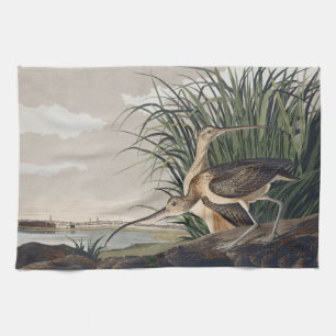 Vintage Audubon Long-billed Curlew Vogelkunst Geschirrtuch