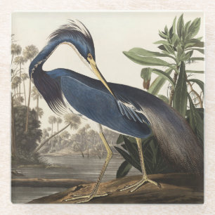 Vintage Audubon Louisiana Reiher Vogel Kunst Glasuntersetzer