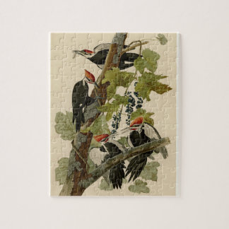 Vintage Audubon-Pileated-Woopecker-Vogelmalerei