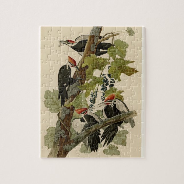 Vintage Audubon-Pileated-Woopecker-Vogelmalerei (Vertikal)