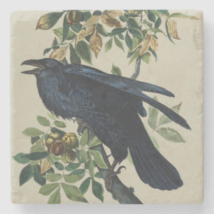 Vintage Audubon Rabe Vogel Natur Kunst Steinuntersetzer