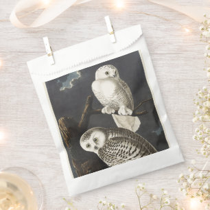 Vintage Audubon Schnee-Eule Nacht Vogel Kunst Geschenktütchen