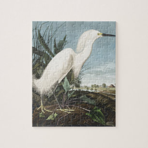 Vintage Audubon Schneereiher Weißer Silberreiher V