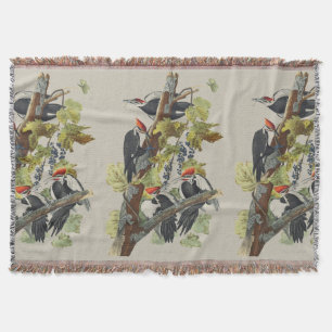 Vintage Audubon-Specht-Vogelkunst Decke