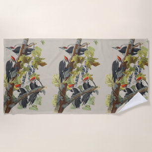 Vintage-Audubon-Specht-Vogelkunst Strandtuch