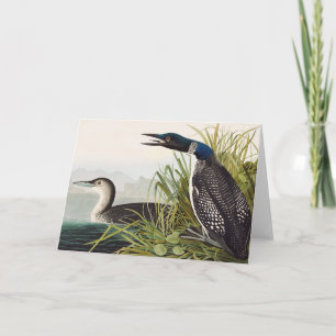 Vintage Audubon Sterntaucher Vogel Natur Kunst Dankeskarte