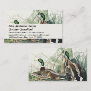 Vintage Audubon Stockente Wildlife Art Visitenkarte