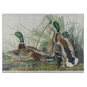 Vintage Audubon Stockente-Wildtierkunst Schneidebrett