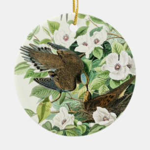 Vintage-Audubon-Trauer-Tauben-Vogel-Blumen-Kunst Keramik Ornament