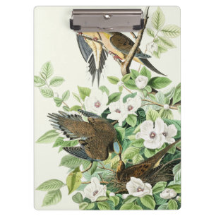 Vintage-Audubon-Trauer-Tauben-Vogel-Blumen-Kunst Klemmbrett