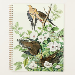 Vintage-Audubon-Trauer-Tauben-Vogel-Blumen-Kunst Planer