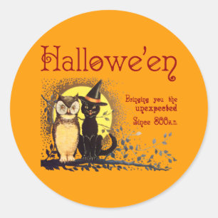 Vintage Aufkleber für Katzen und Eule