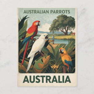 Vintage Australien Papageien Wildtiere Postkarte