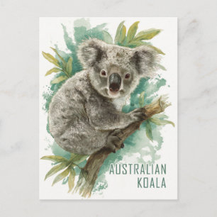 Vintage australische Koala Travel Postkarte