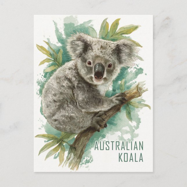 Vintage australische Koala Travel Postkarte (Vorderseite)
