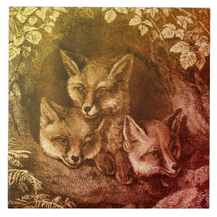 Vintage-Baby-Fuchs-Waldland Fliese