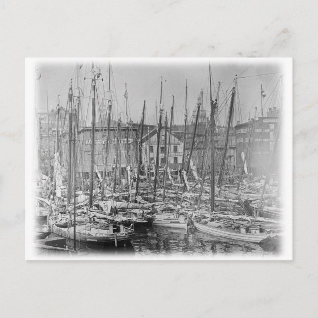 Vintage Baltimore Skipjack-Segelschiffe Postkarte (Vorderseite)