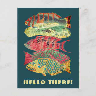 Vintage Barrier Reef Fische Hallo hier Postkarte