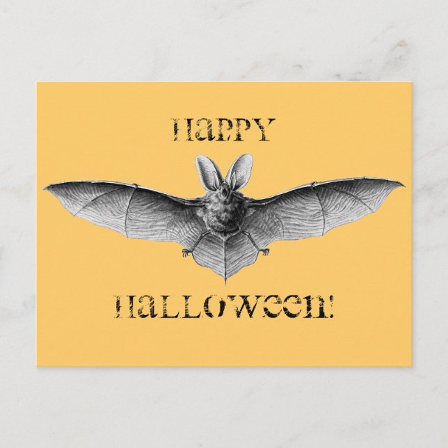 Vintage Bat-Illustration Postkarte (Vorderseite)