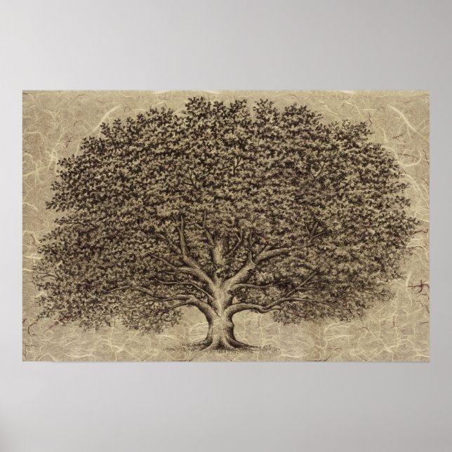 Vintage-Baum Poster (Vorne)