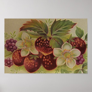 Vintage Beeren Poster