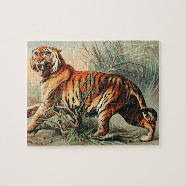 Vintage Bengal Tiger Illustration Art Old Antique (Horizontal)