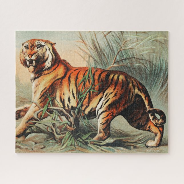 Vintage Bengal Tiger Illustration Art Old Antique (Horizontal)