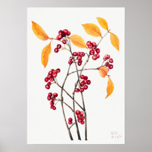 Vintage Bergashillustration Poster