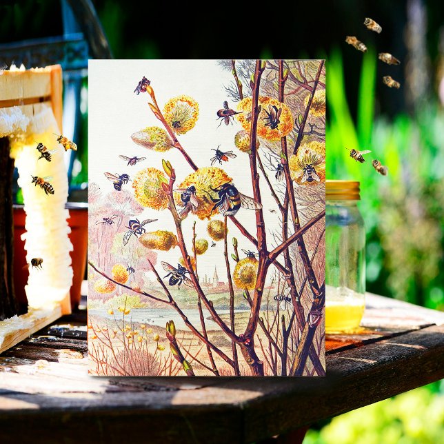 Vintage Bienen Frühlingsblüten Postkarte (Von Creator hochgeladen)