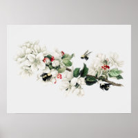 Vintage-Bienen-Illustration