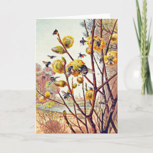 Vintage Bienen Insekten Frühling Weidenblüte Karte