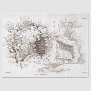 Vintage Bienen Seidenpapier